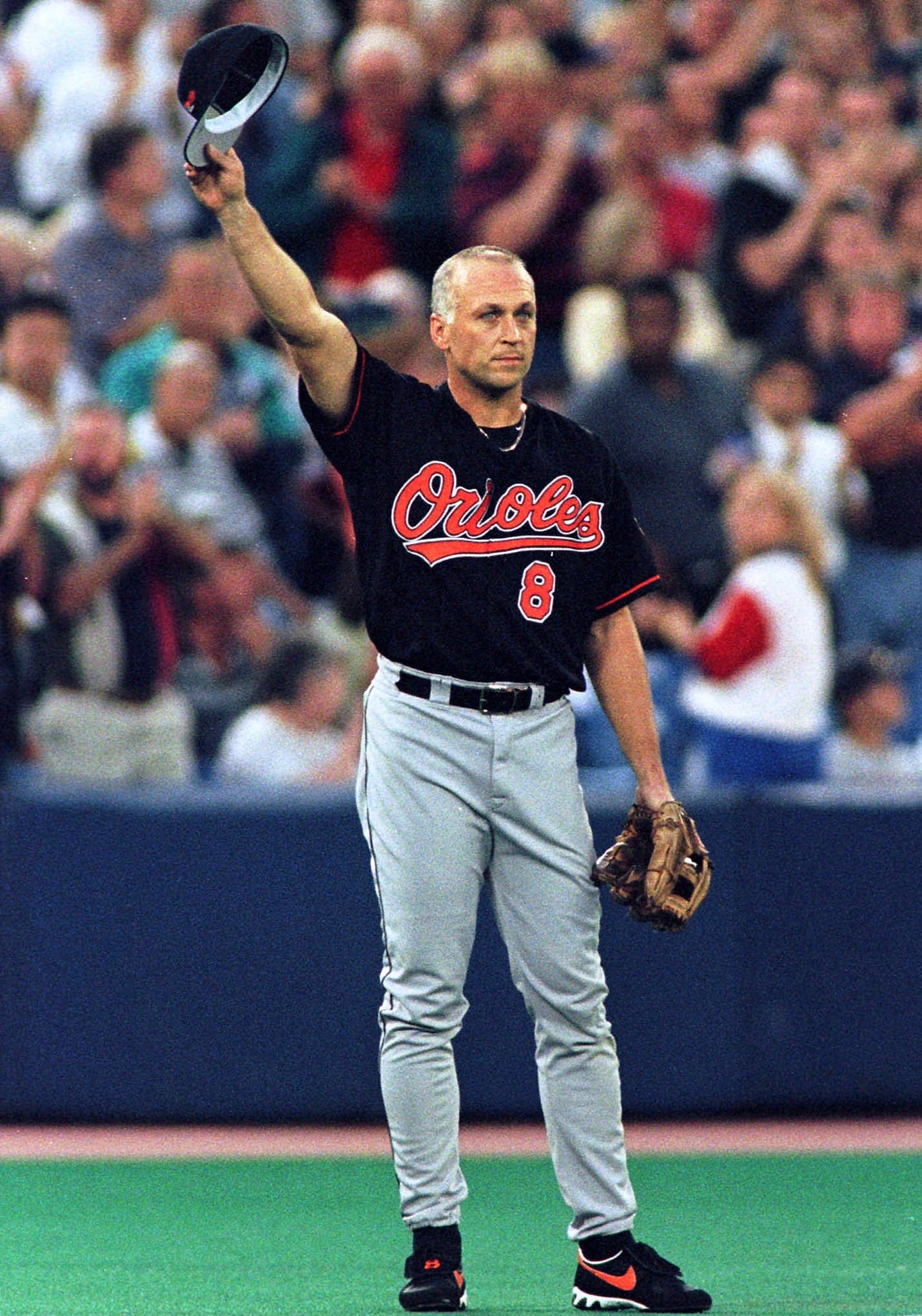 cal ripken